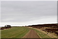 SE0787 : Gallop on Middleham High Moor looking East by Chris Heaton