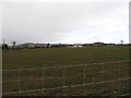 Houses on Ferryhill Road, Clontygora