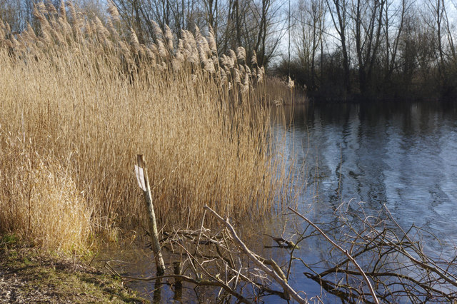 Old gravel pit near the River Kennet © Stephen McKay :: Geograph ...