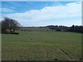 View Towards Blackfordby from Butt Lane