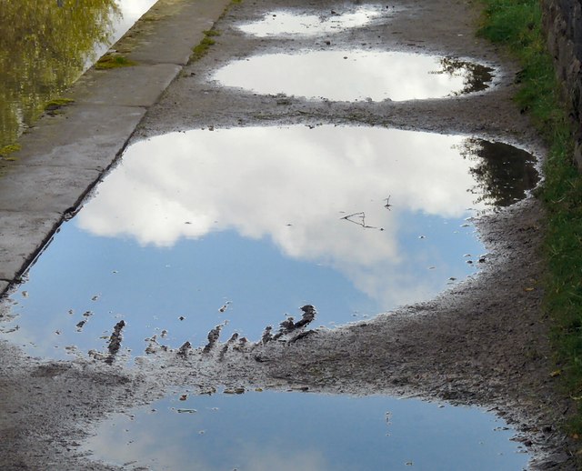 Towpath Puddles