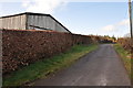 West Somerset : Country Lane