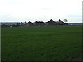 Crop field towards Barrow Hill