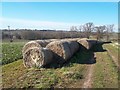 Bridleway and Hay Bales at Old Parks Farm