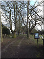 TM0276 : Path to St.Mary's Church by Geographer