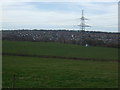 Farmland, Inkersall Farm