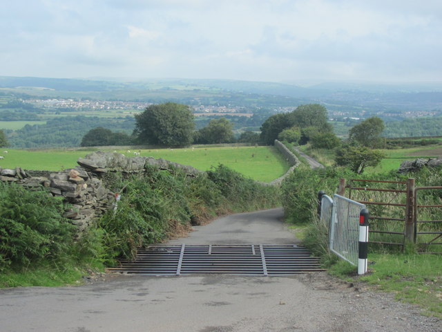 North-east boundary of Mynydd Eglwysilan