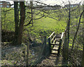 SD5314 : Footbridge over drain near Barlow's Farm, Heskin by Gary Rogers
