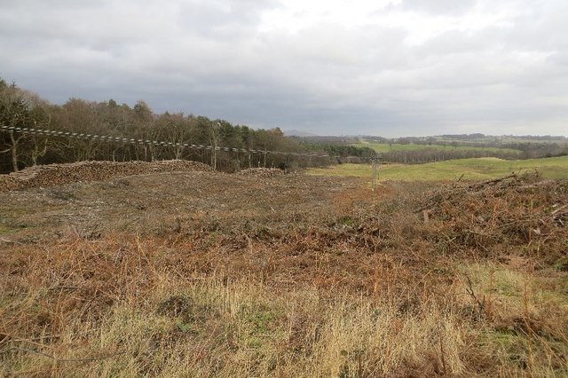 Bogside Wood, Fife - area information, map, walks and more