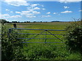 Meadow and gate near Woodend Farm