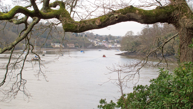 The River Dart seen from the Boat House, Greenway House