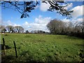 Field near Coad