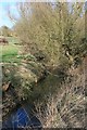 The River Chelmer south of Thaxted