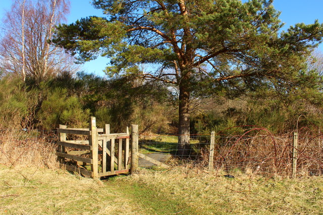 Kissing Gate on the Southern Upland Way