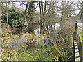 Wildlife pond near Bourne Park