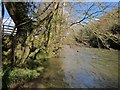 SX3973 : River Tamar at Lamerhooe Ford by Derek Harper