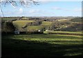 Farmland, Latchley