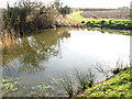 Pond by Town House Farm