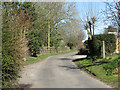 Prince of Wales Road through Cargate Green