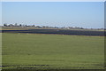 TL5186 : Flat Fenland Farmland by N Chadwick