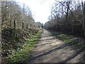 Heading south on the Trans Pennine Trail 