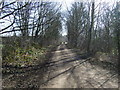 Trans Pennine Trail near Renishaw