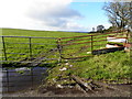 Gate, Edymore