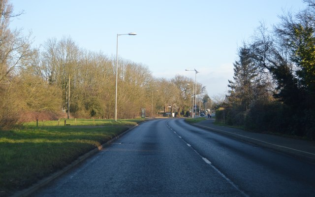 Norwich Common © N Chadwick cc-by-sa/2.0 :: Geograph Britain and Ireland