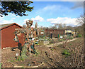 Scarecrow on the Allotment