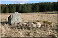 Stoneyfield Stone Circle (2)