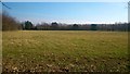 Field, Parsonage Farm, Boughton Monchelsea