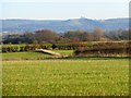 Farmland, Bishopstone