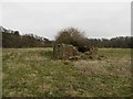 NT9250 : Ruined stone building beside the river by Graham Robson