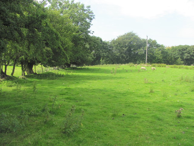 Field north east of Llanfabon