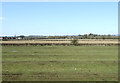 Farmland near Northway