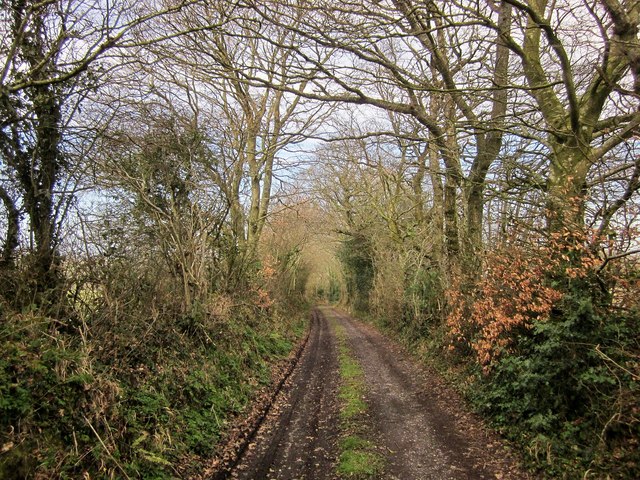 Track to Bradleigh
