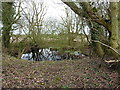 Small pond just off Fernhill Road