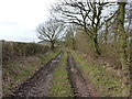 Farm track in the Lonco valley