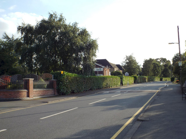 Neat hedges, Rodney Road, Olton