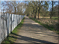 Path by the railway