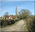 Bridleway leading to South Walsham Broad