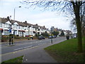 Looking across Forest Road