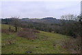 Tor Hole Fields Nature Reserve