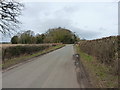 Shay Lane towards Brickhill Pits copse