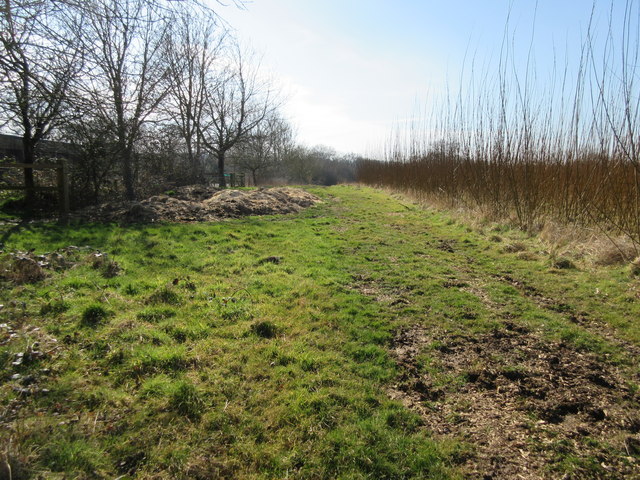 Path to Woodshill Copse