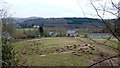 Pasture above Llanfair Farm