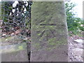 Cut Mark Bamford Gatepost Close up Stile Joan Lane