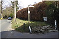 Ockham Road South seen from junction with Lynx Hill