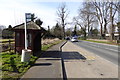 Looking past the bus stop on Epsom Road