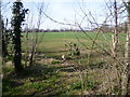 View from footpath to Boughton Lane